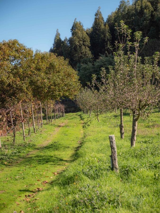 دوهَيْس Naturena Agro-Turismo المظهر الخارجي الصورة
